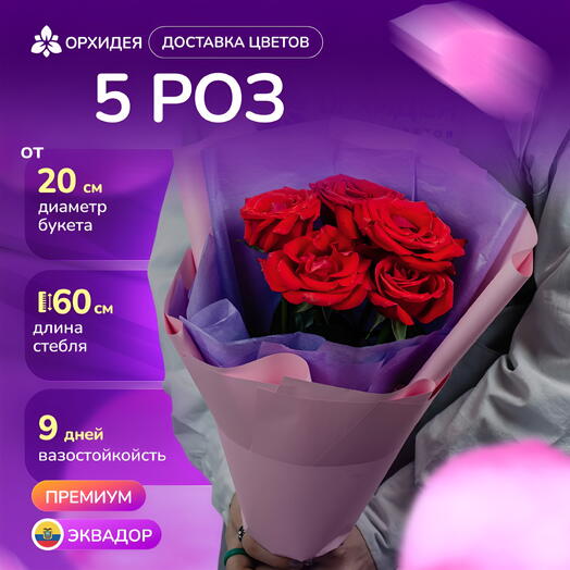 5 алых роз "Роял"