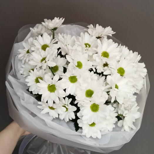 Букет ромашка