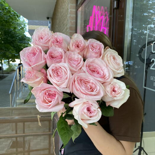 Розы Эквадор 15