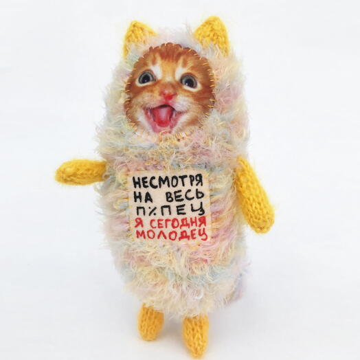 Игрушка кот НЕСМОТРЯ НА ВЕСЬ П%ПЕЦ Я СЕГОДНЯ МОЛОДЕЦ