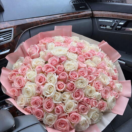 101 mix roses