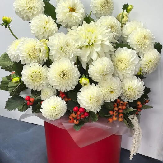 Белые георгины в шляпной коробке