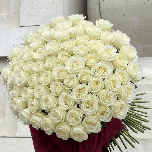 White 101 rose s 🤍