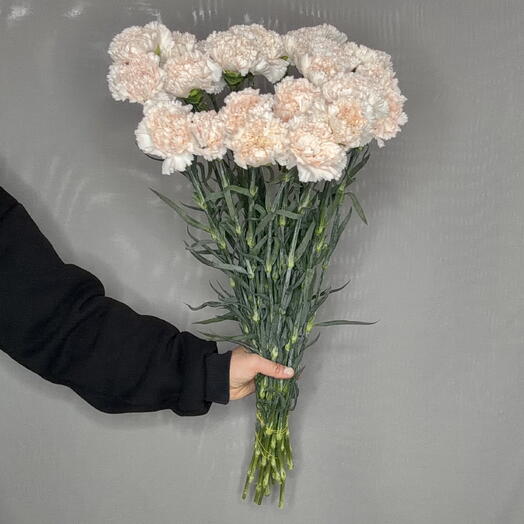 Пачка Гвоздики Brut (25 шт)