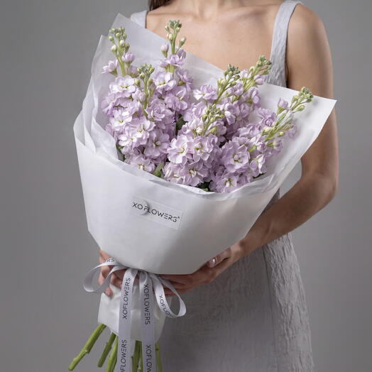 Букет из 7 лавандовых маттиол от XOFLOWERS