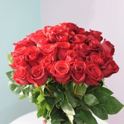 31 rose freedom