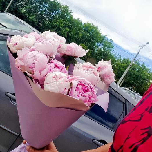 The Delicate Peonies