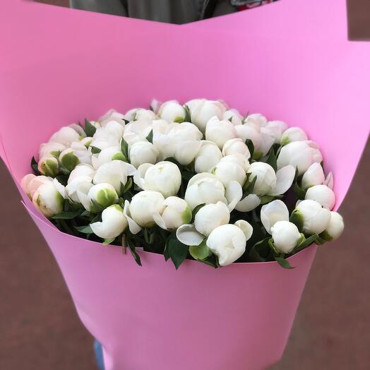 59 пионов
