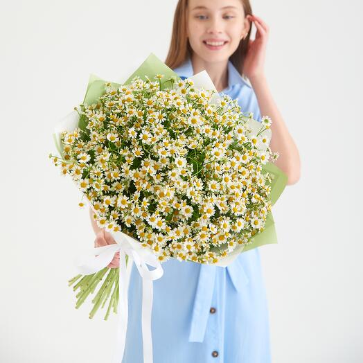 Букет Ромашки