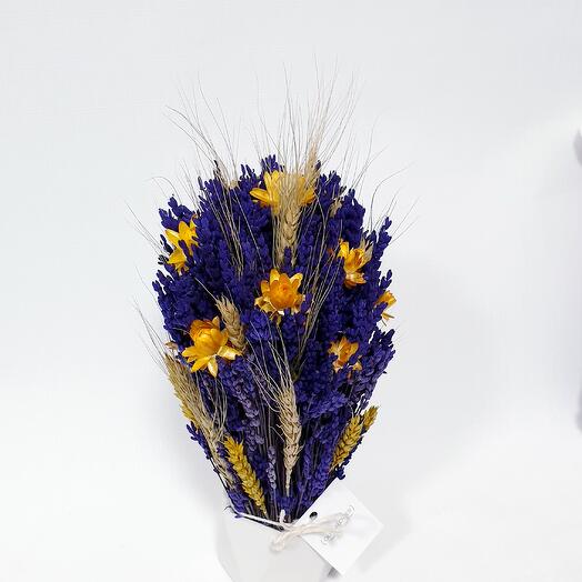 Lavanda estabilizada en macetas