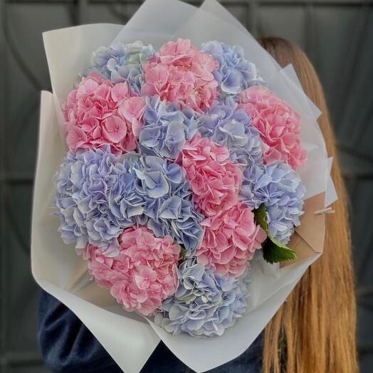 Модница