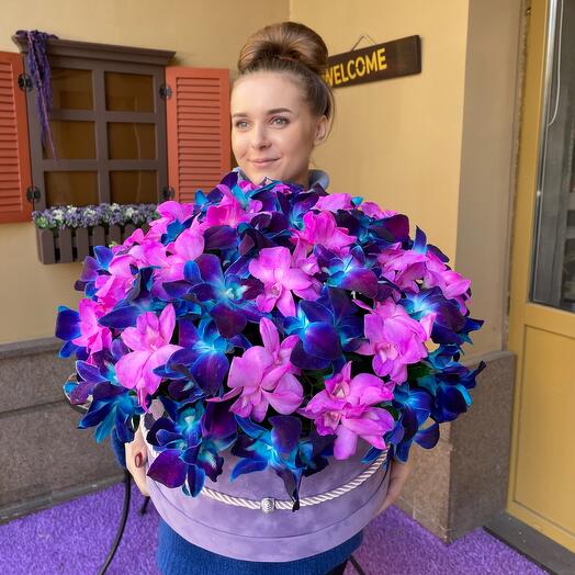 Purple Angel