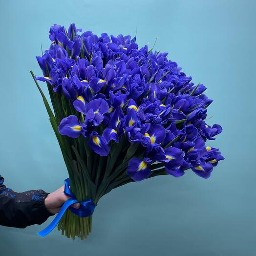 Iris