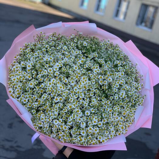 Букет Ромашки