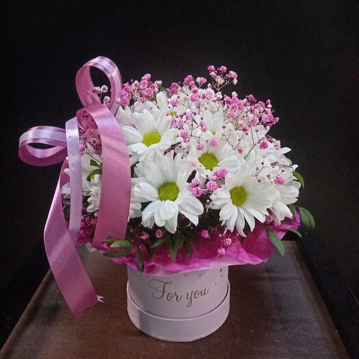 Chamomile tenderness