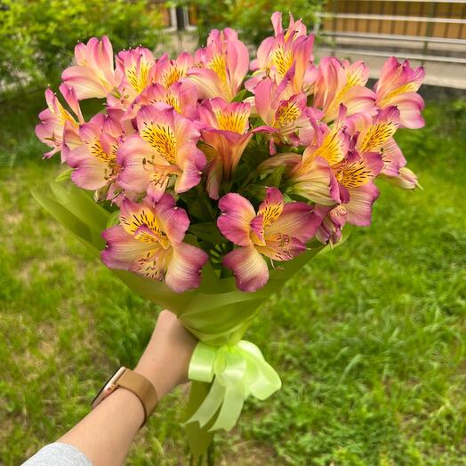 Букет альстромерия