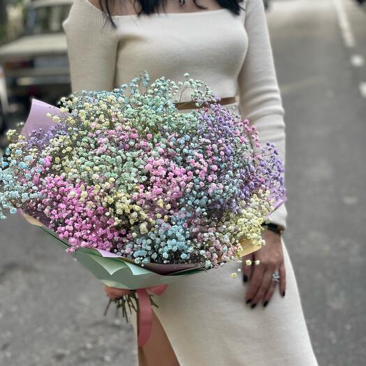 19 branches of gypsophila