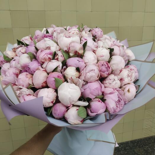 White-pink tenderness