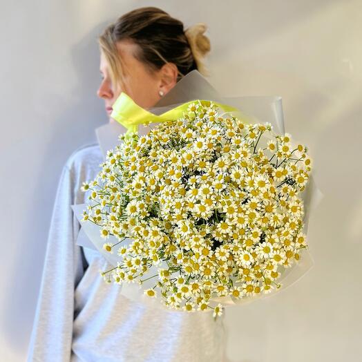 Bouquet of 25 field daisies