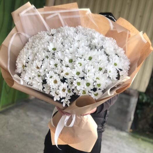 Хризантемы 😍🌸