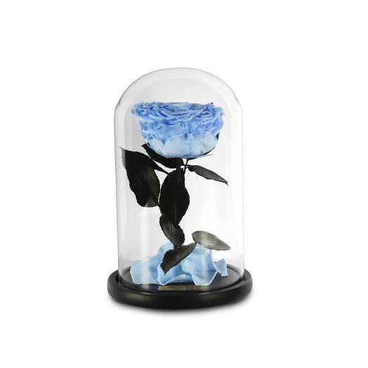 Light Blue Preserved Roses in a Glass Dome Single