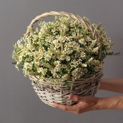 Basket with matricaria "Summer noon"