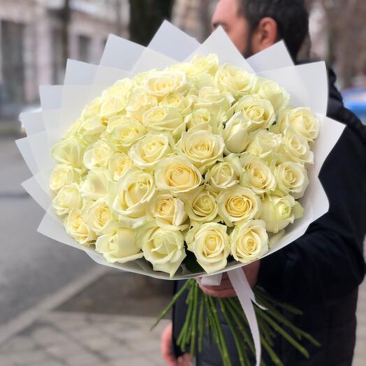 51 rosa blanca