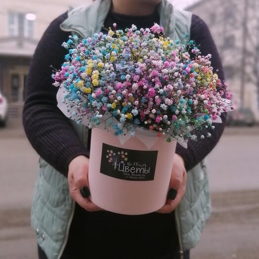 Цветы в коробке гипсофила