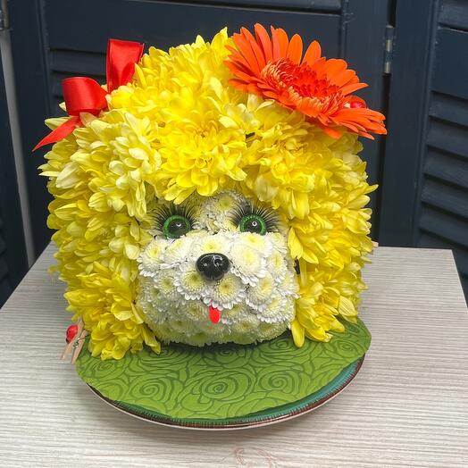 Ежик 🦔