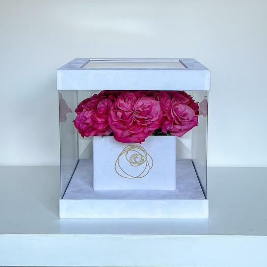 Pink Roses - Display Case White Box