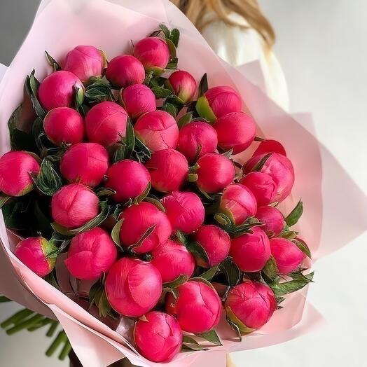 Коралловые пионы 35