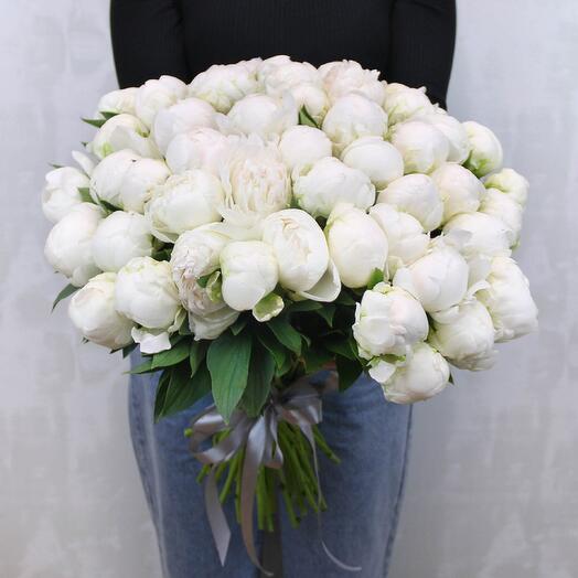 51 Пион Premium💚