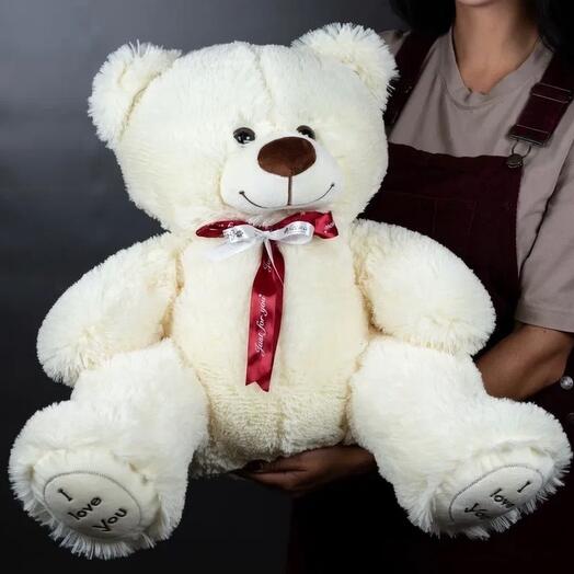 Bear 50 cm