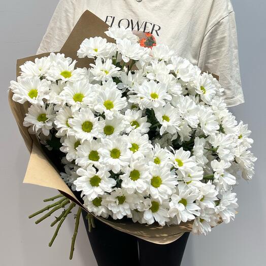 Bouquet of 11 daisies "Summer"