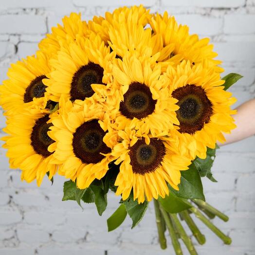 Bouquet of 11 sunflowers
