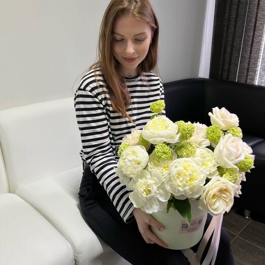 Сияние🌸