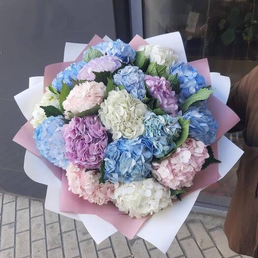 17 гортензий 💐