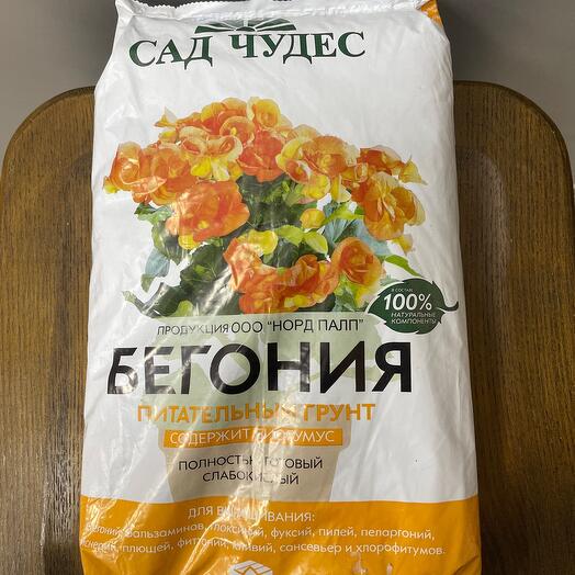 Грунт бегония