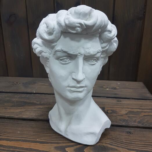 Busto-plantador David
