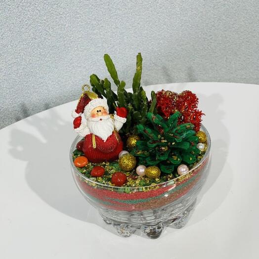 Новогодний мини флорариум с кактусом и дед морозом