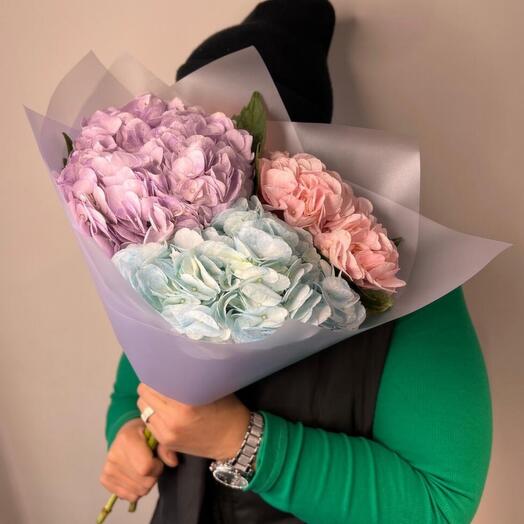 Гортензия 3 штуки