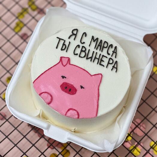 Bento cake I'm from Mars, you're a pig