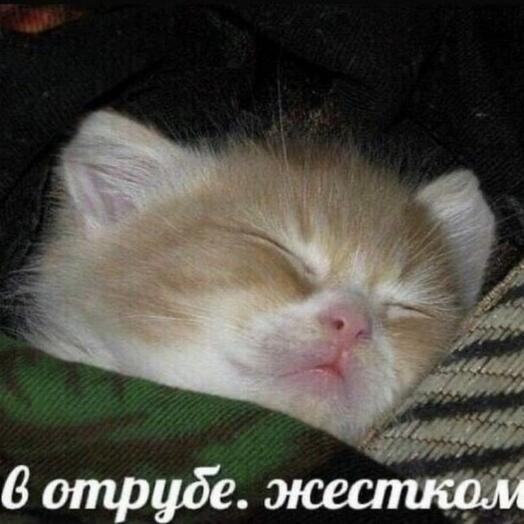 Сбаюа