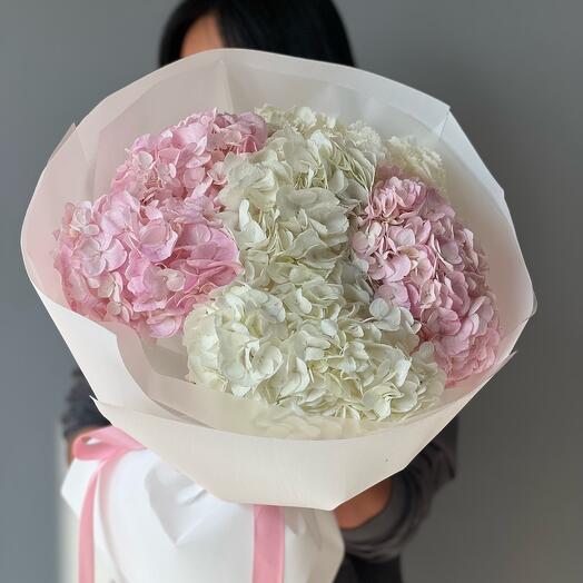 Облако гортензий