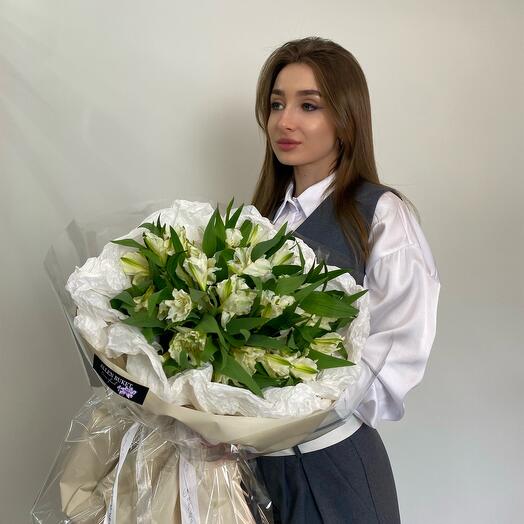 Белоснежная альстромерия