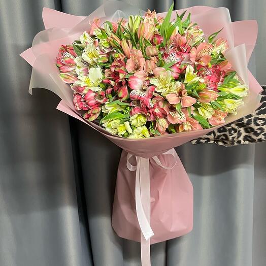 Alstroemeria