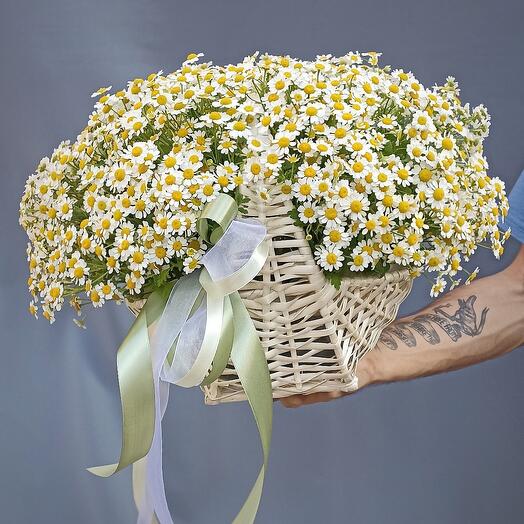 Корзина с ромашками