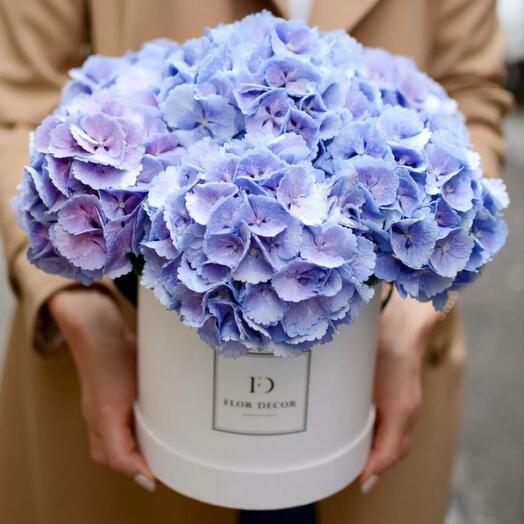 Цветы в коробке гортензии💙