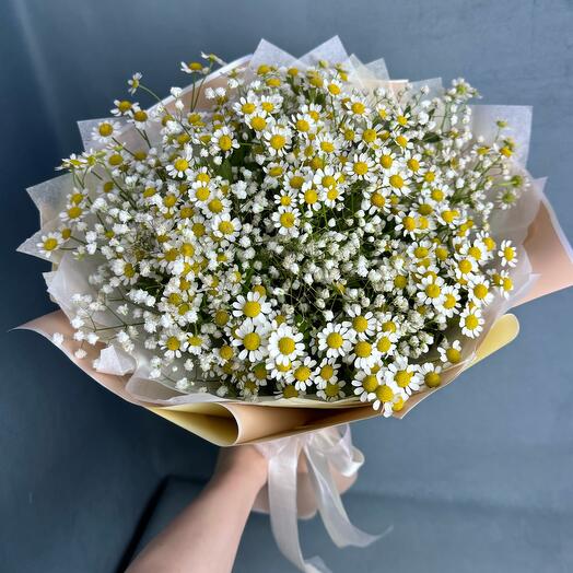 Ромашки с гипсофилой