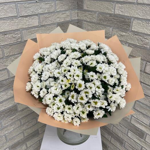 25 Сантини 🌹